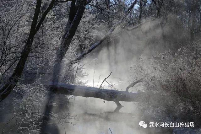 极限脱出九人游戏
