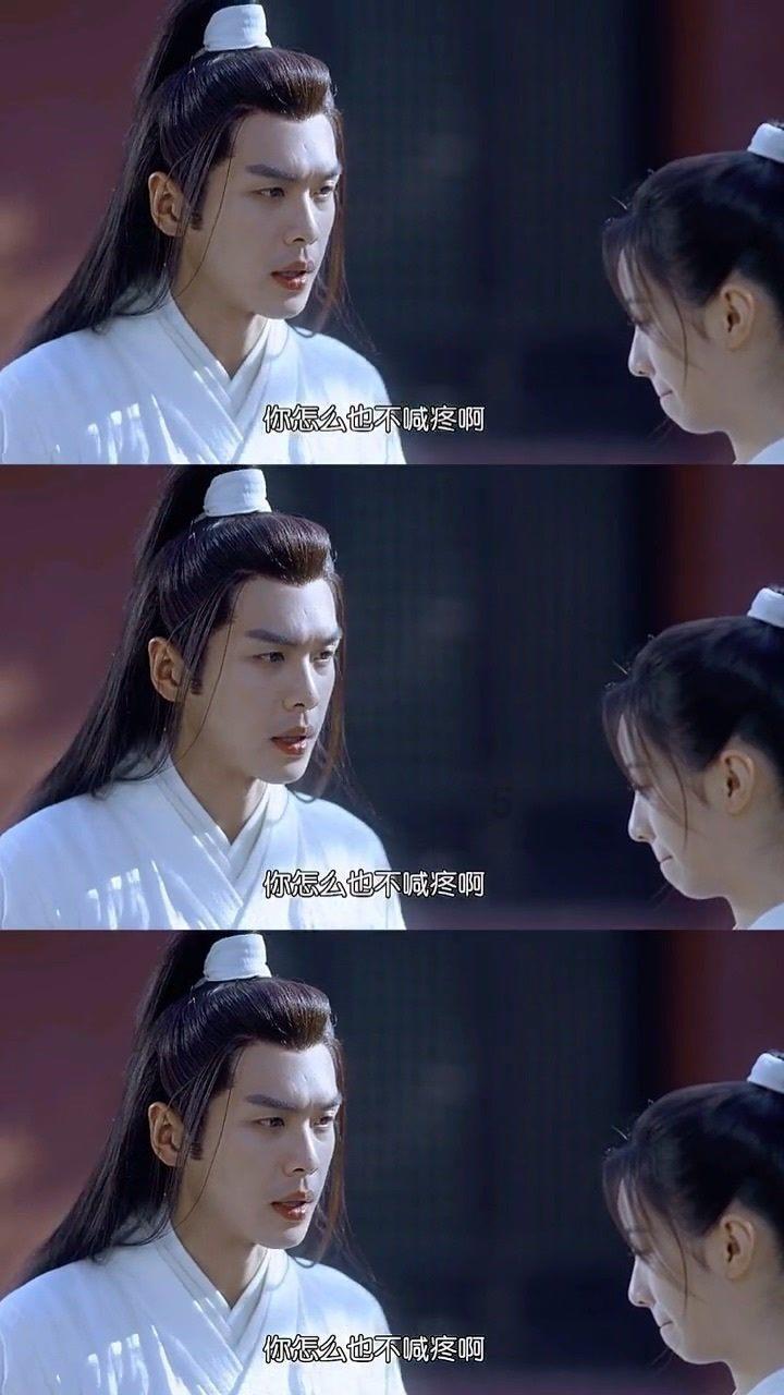 穿越遗弃的森林