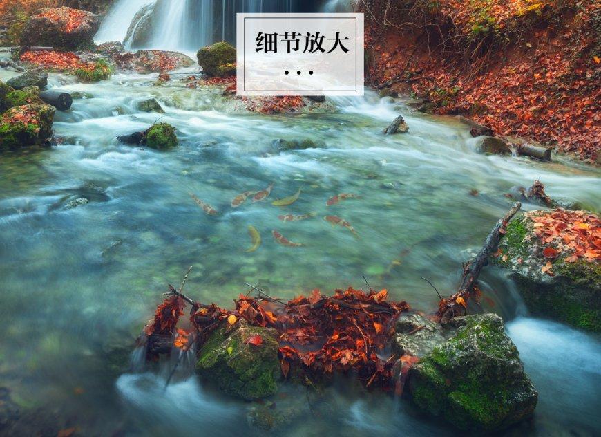 我就是妖女