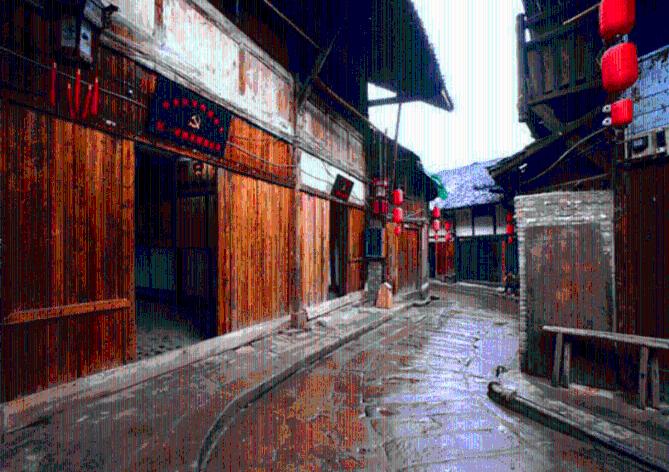 春雨直播app
